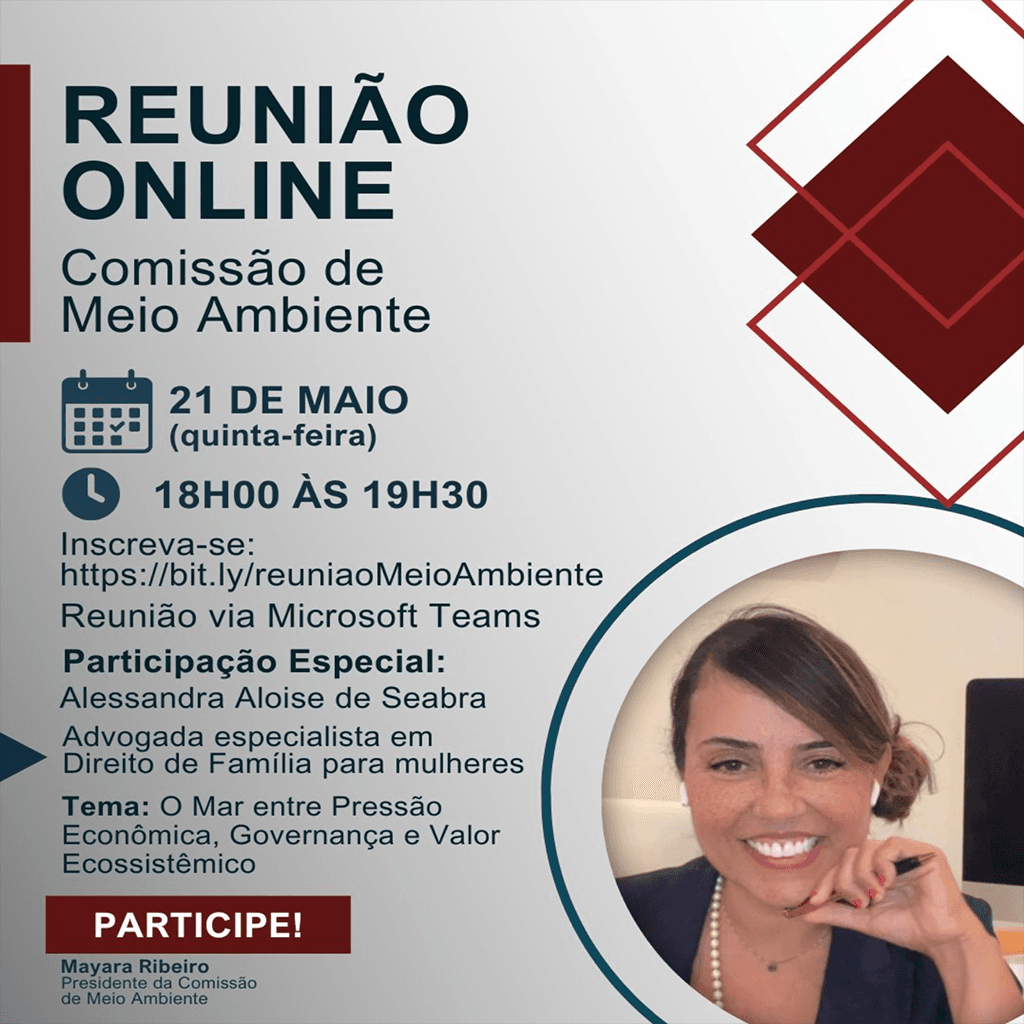 Reunião Online Comissão de Meio Ambiente: O Mar entre Pressão Econômica, Governança e Valor Ecossistêmico